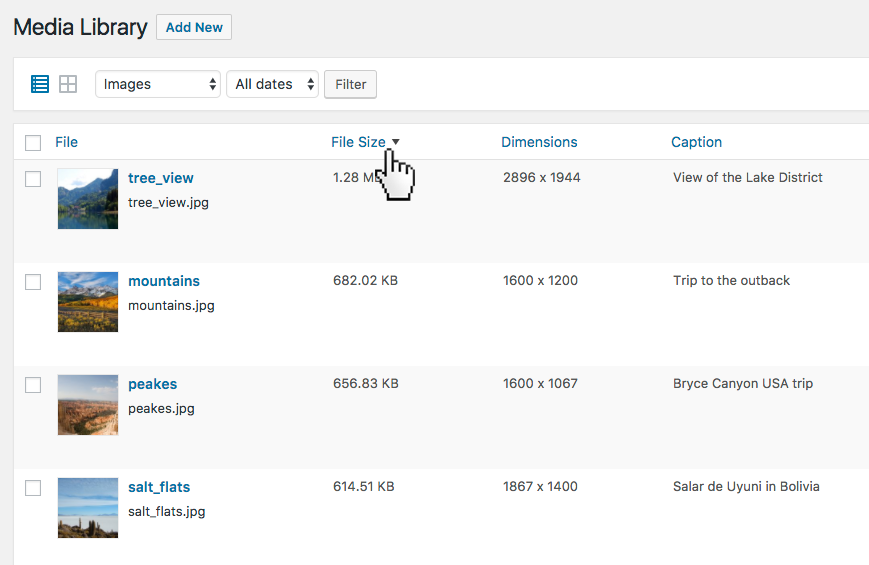 Media overview with custom sortable columns. Sort content and easily adjust it with bulk or inline edit.