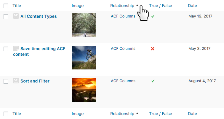 Sort & Filter Custom Fields